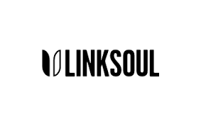 Link Soul