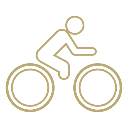 Biking icon