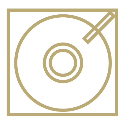 Vinyl Records icon