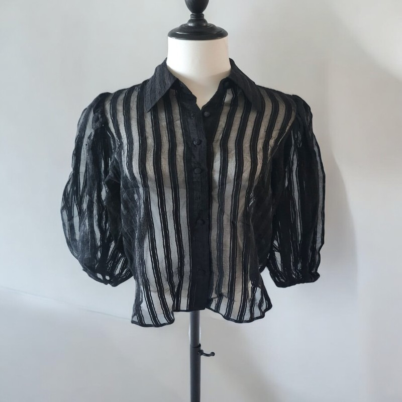 Striped Sheer Organza Blouse