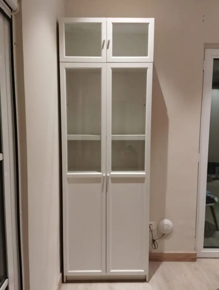 IKEA Bookcase with Panel/Glass Doors