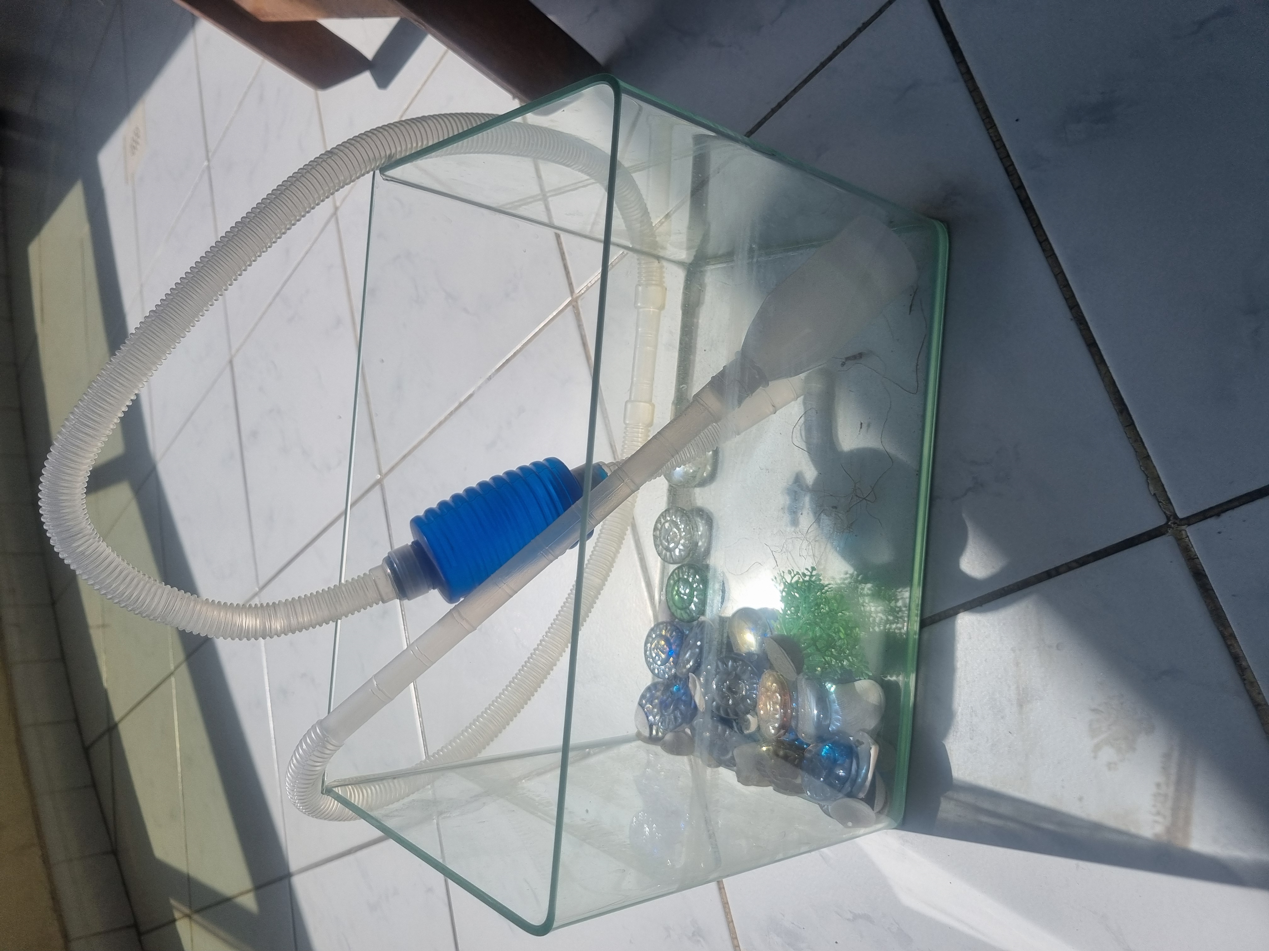 Fish Glass Aquarium with accessories