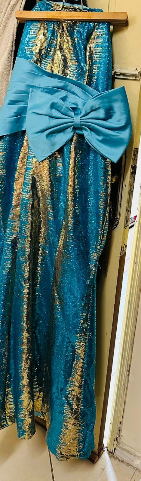 Sequin Fish Gown