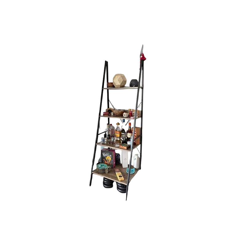 ClosetMaid Industrial Style Ladder Bookshelf