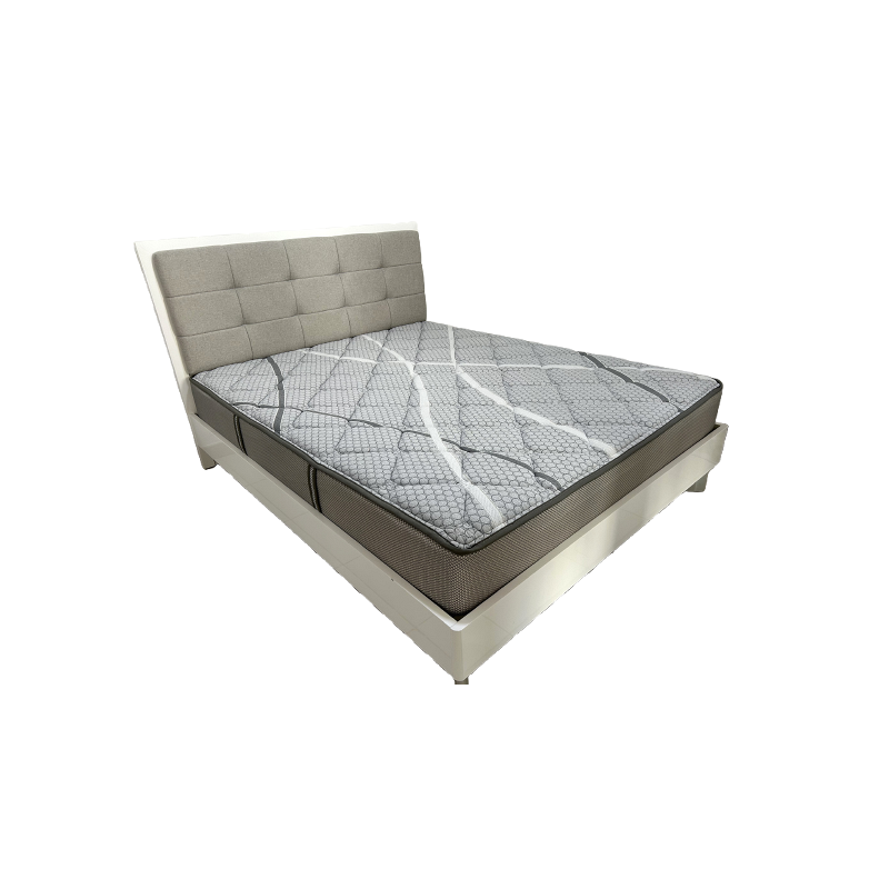 Queen Bed with Mattress