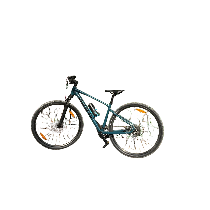 Giant Roam Bicycle