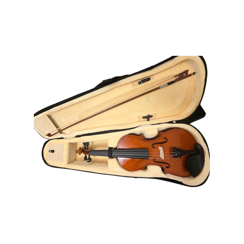 Violin with box