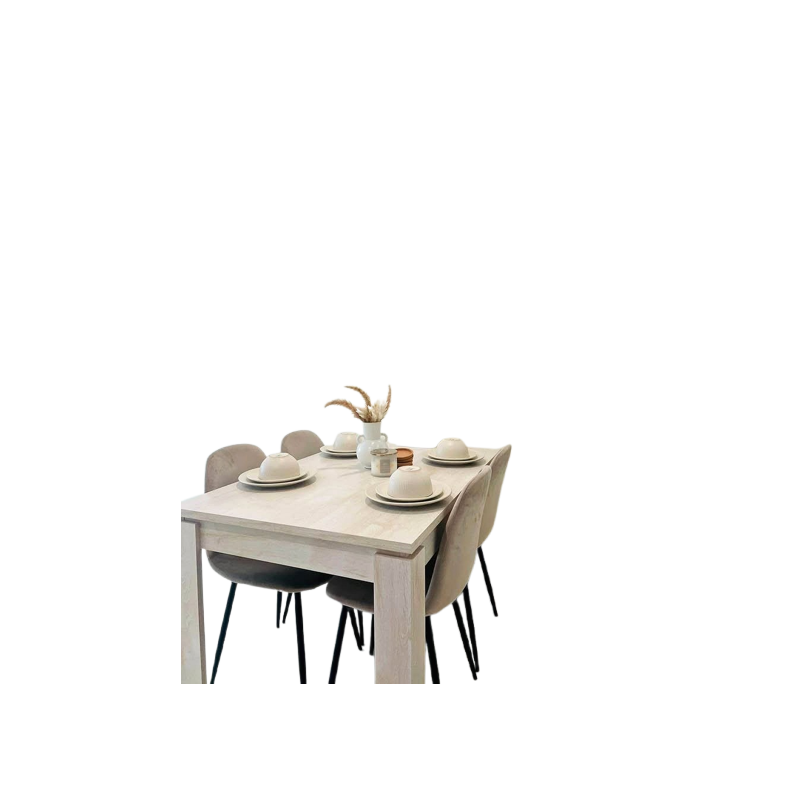 Dining Table Set 1+4